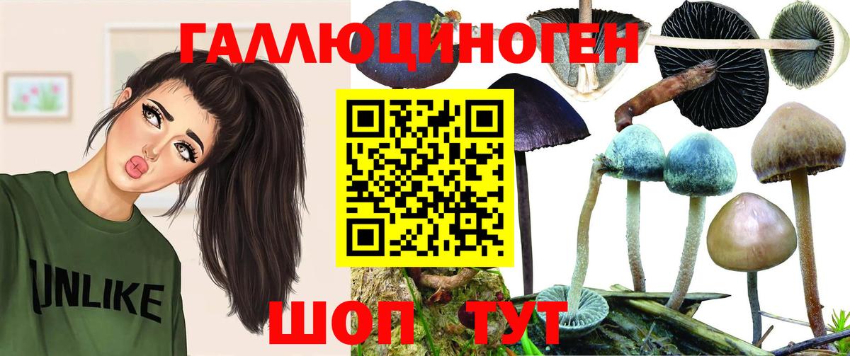 Галлюциногенные грибы Cubensis Чусовой