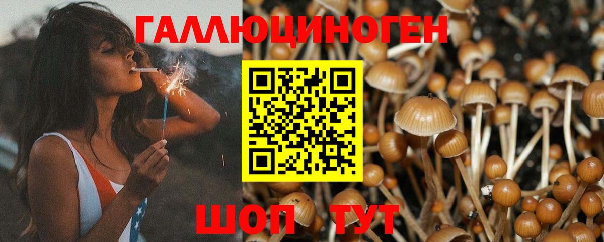 Чусовой  Галлюциногенные грибы мицелий  Вход с VPN 